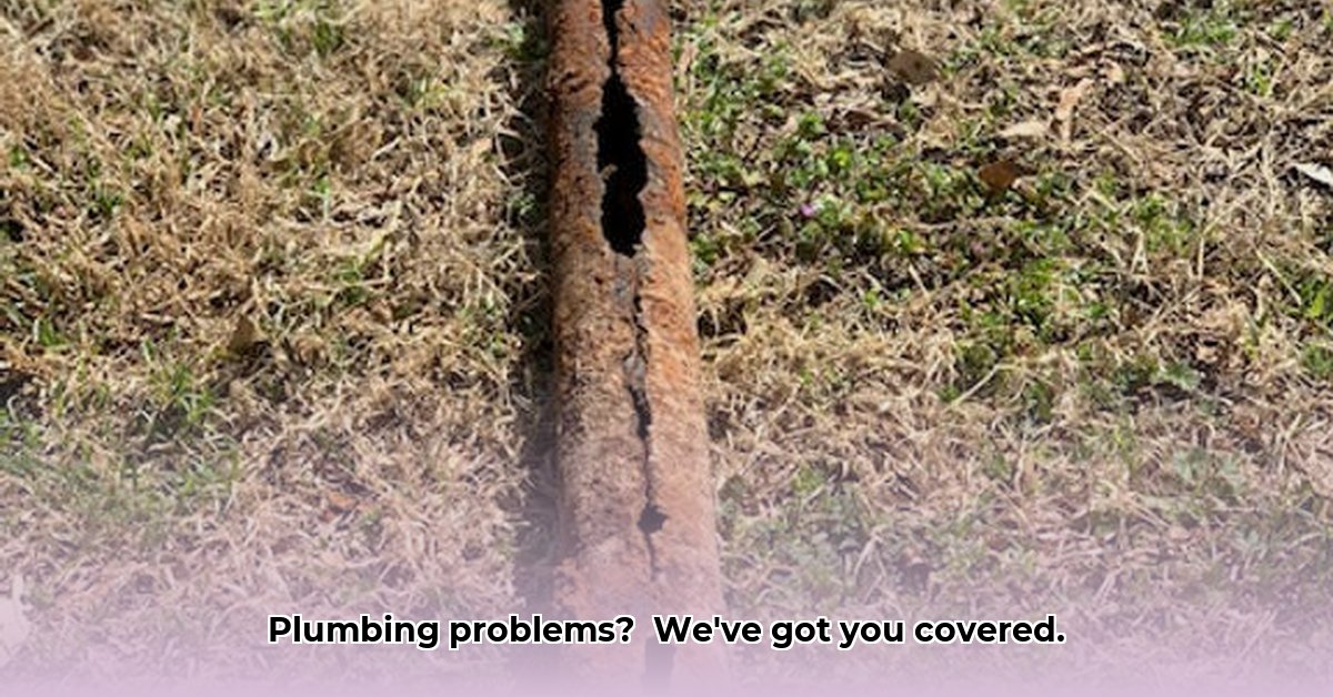 go-with-the-flow-plumbing